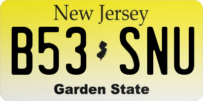 NJ license plate B53SNU