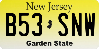 NJ license plate B53SNW