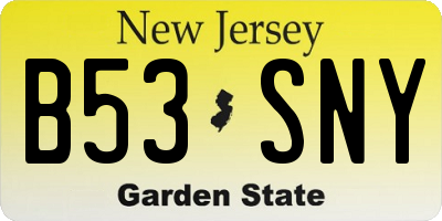 NJ license plate B53SNY