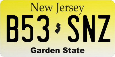 NJ license plate B53SNZ