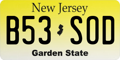 NJ license plate B53SOD