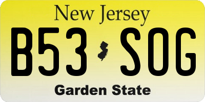 NJ license plate B53SOG