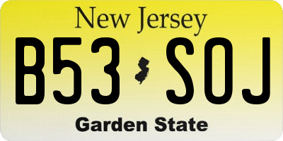 NJ license plate B53SOJ