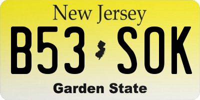 NJ license plate B53SOK