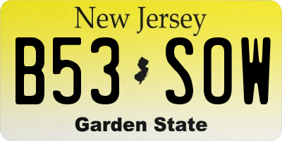 NJ license plate B53SOW