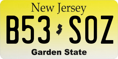 NJ license plate B53SOZ