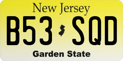 NJ license plate B53SQD