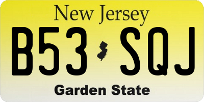 NJ license plate B53SQJ
