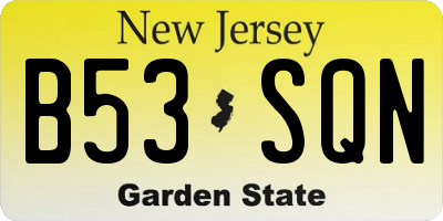 NJ license plate B53SQN