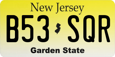 NJ license plate B53SQR
