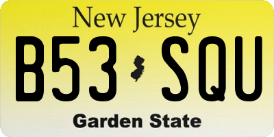 NJ license plate B53SQU
