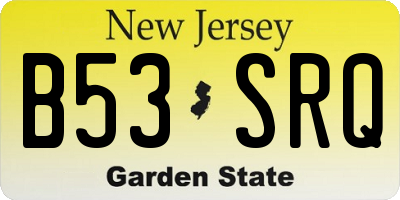 NJ license plate B53SRQ