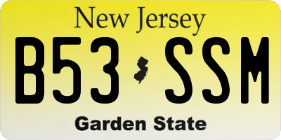 NJ license plate B53SSM