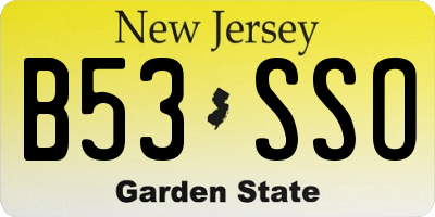 NJ license plate B53SSO