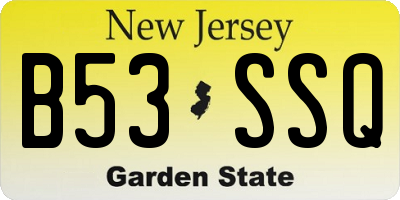 NJ license plate B53SSQ