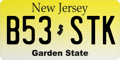 NJ license plate B53STK
