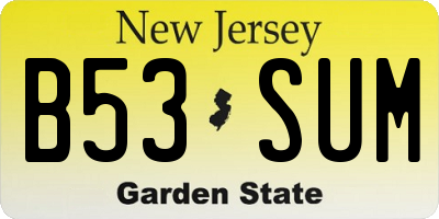 NJ license plate B53SUM