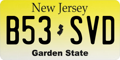 NJ license plate B53SVD