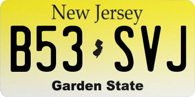 NJ license plate B53SVJ