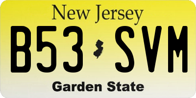 NJ license plate B53SVM