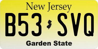 NJ license plate B53SVQ