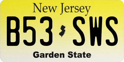 NJ license plate B53SWS