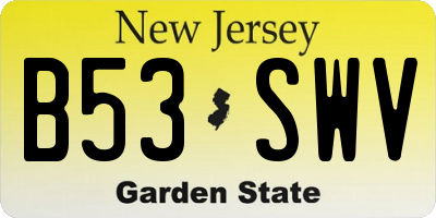 NJ license plate B53SWV