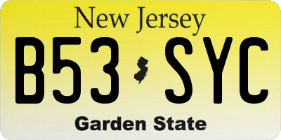 NJ license plate B53SYC