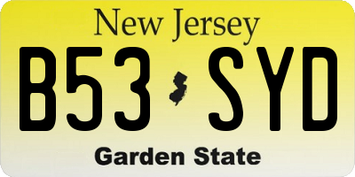 NJ license plate B53SYD