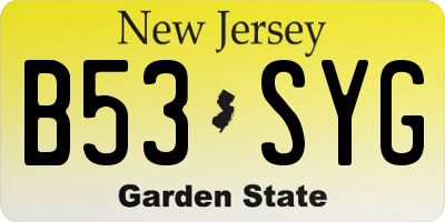 NJ license plate B53SYG