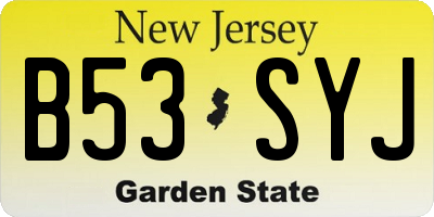 NJ license plate B53SYJ