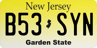NJ license plate B53SYN