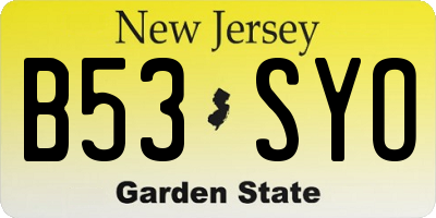NJ license plate B53SYO