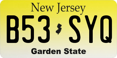 NJ license plate B53SYQ
