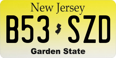 NJ license plate B53SZD
