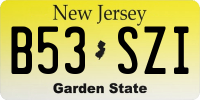 NJ license plate B53SZI