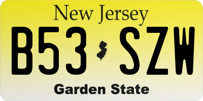 NJ license plate B53SZW