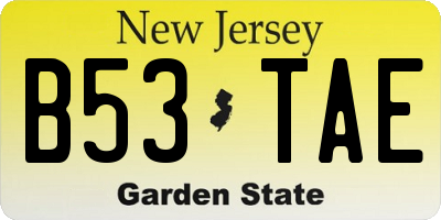 NJ license plate B53TAE