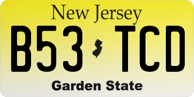 NJ license plate B53TCD