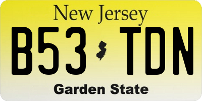 NJ license plate B53TDN
