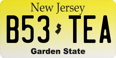 NJ license plate B53TEA