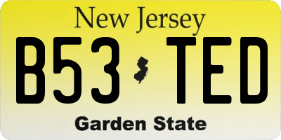 NJ license plate B53TED
