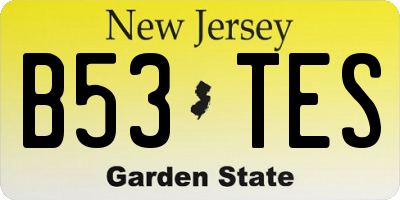 NJ license plate B53TES