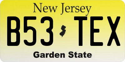 NJ license plate B53TEX