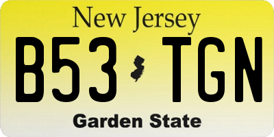 NJ license plate B53TGN