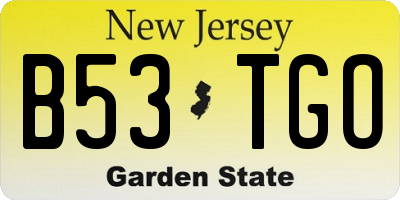 NJ license plate B53TGO