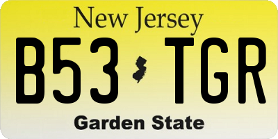 NJ license plate B53TGR