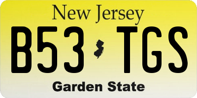 NJ license plate B53TGS