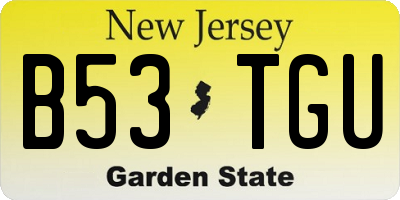 NJ license plate B53TGU