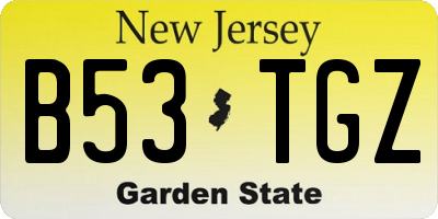 NJ license plate B53TGZ